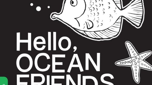 Hello Ocean Friends Board Book