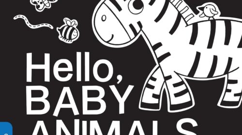 Hello, Baby Animals Board book