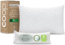 Coop Home Goods Pillow