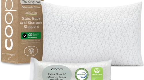 Coop Home Goods Pillow