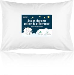 Toddler Pillow with Pillowcase